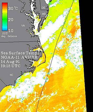 Archivo:Pre-Hurricane Bob Sea Surface Temperature