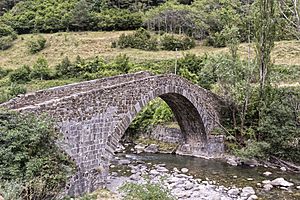 Archivo:Puente de los Peregrinos - Canfranc - 2