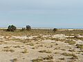Punta Entinas Sabinar 3