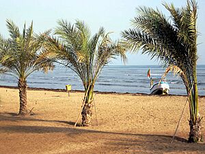 Archivo:Red Sea (8527947681)