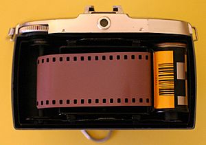 Archivo:Redscale film load in a Bilora Bella (5628729973)