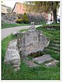 Rupelo 21 (Fuente)