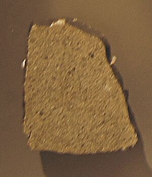 Archivo:Sylacauga meteorite, Smithsonian Natural History Museum
