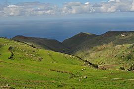 Tenerife - Buenavista del Norte 05