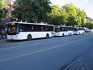 Archivo:Trondheim bus 2