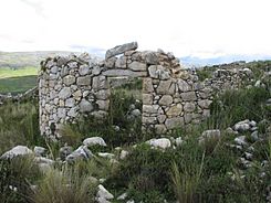 Archivo:Tunanmarca Archaeological site - storehouse