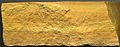 Volcanic Tuff of Green River Formation in Wyoming
