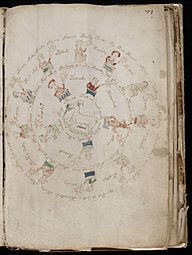 Voynich Manuscript (129)
