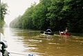 Wolf-River-GermantownTN