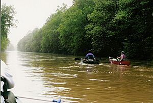 Archivo:Wolf-River-GermantownTN