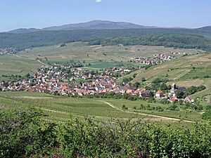 Archivo:2010 05 24Westhalten