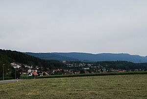 Archivo:2012-05-26-Seeland (Foto Dietrich Michael Weidmann) 153
