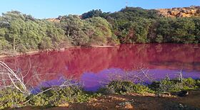 Aguas violetas en el parque metropolitano laguna guaranao.jpg