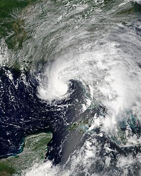 Alberto 2018-05-27 1621Z.jpg