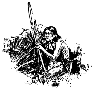 Archivo:Apache Ambush