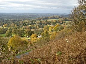 Archivo:Autumn colour at Colwall - geograph.org.uk - 621309