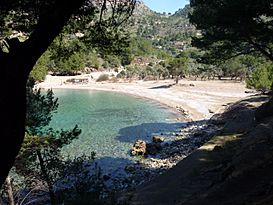 Bucht Cala Tuent.jpg