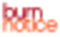 Burn Notice logo