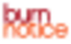 Burn Notice logo.svg