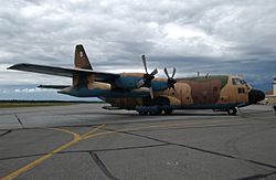 Archivo:C-130 Hercules (Spain)