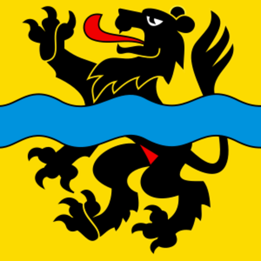 CHE Aegerten Flag