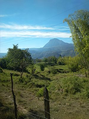 Archivo:Cerro Bravo Fredonia