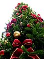 Christmas tree sxc hu