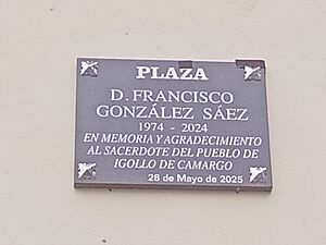 Archivo:Donfrancisco igollo 2025