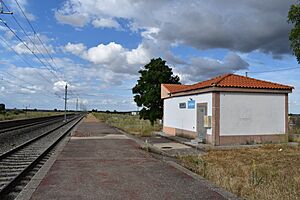 Archivo:Estación de Sancti-Spíritus, Salamanca