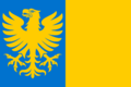 Flag of Rábade.svg