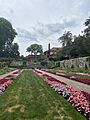 Floresyrosas