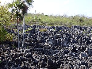 Archivo:Hell Grand Cayman 2