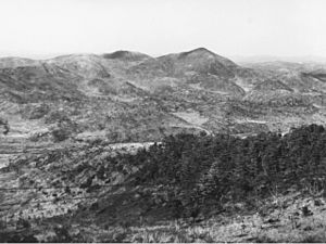 Hill 317 Korea 1952 (AWM 042315).jpg