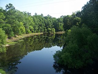 Jefferson-Madison Aucilla River north01.jpg