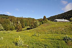 La Combe du Faoug 01 11.jpg