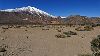 Llano de Ucanca 03.jpg