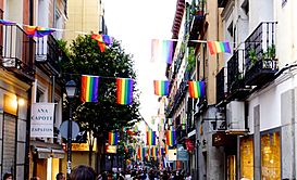 Madrid Pride Orgullo 2015 58369 (19335774665).jpg