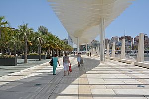 Archivo:Malaga Promenade