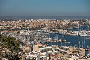 Archivo:Mallorca Palma from Bellver Castle viewpoint asv2023-04 img2