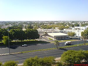 Archivo:Oasis Hospital- Al-Ain - panoramio