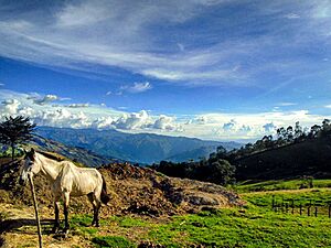 Archivo:Paisaje desde Sonsón, Colombia