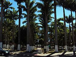 Parque Juana de Almeyda. Toledo Norte de Santander - panoramio.jpg