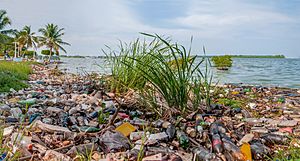Archivo:Pollution in Maracaibo lake