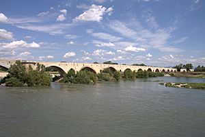 Archivo:Pont médiéval Pont-Saint-Esprit FRA 001