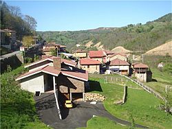 Pulliu1.jpg