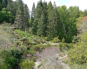 Regional Parks Botanic Garden view.jpg