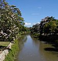Rio manzanares