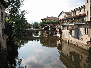 Archivo:Saint Jean Pied de Port Nive Béhérobie