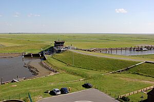 Archivo:Seehundstation Schleuse
