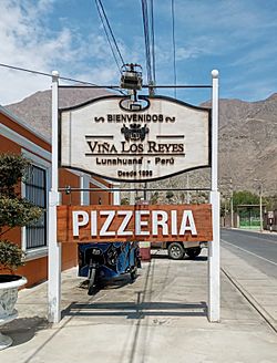 Sign of Viña Los Reyes, Lunahuaná, Peru.jpg